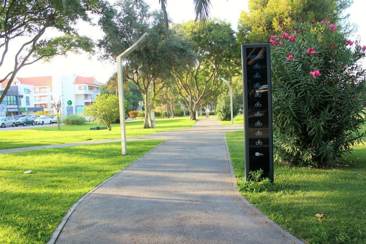 Vilamoura Dolphin Studio Eksteriør billede